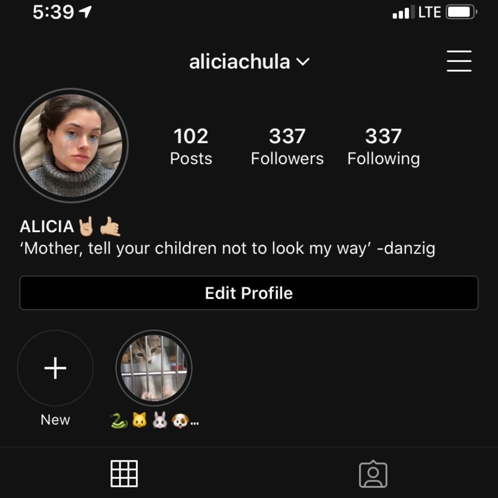 follow me on instagram @ aliciachula